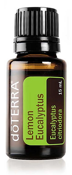 Лимонный эвкалипт  Eucalyptus citriodora