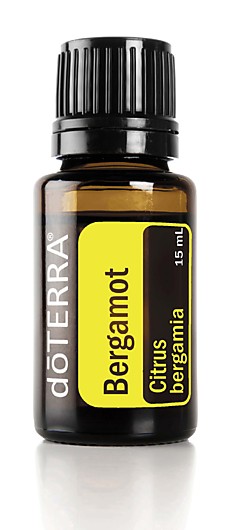 Бергамот Citrus bergamia