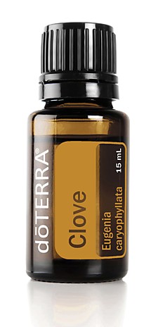 Гвоздика Eugenia caryophyllata