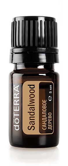 Индийский сандал  Santalum album