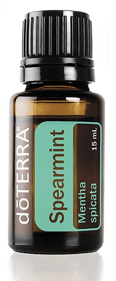 Садовая мята Mentha spicata