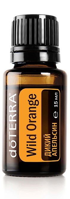 Дикий апельсин Citrus sinensis