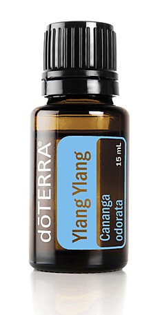 Иланг-иланг Cananga odorata